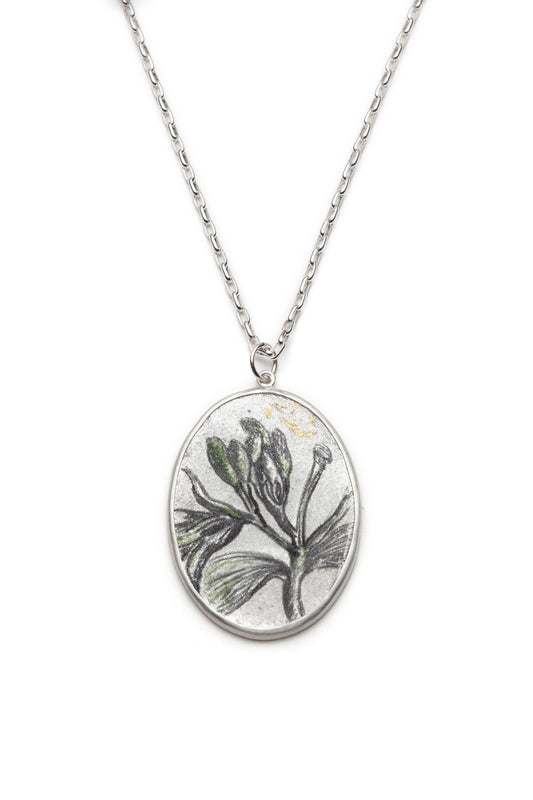 Botanical Inspirations